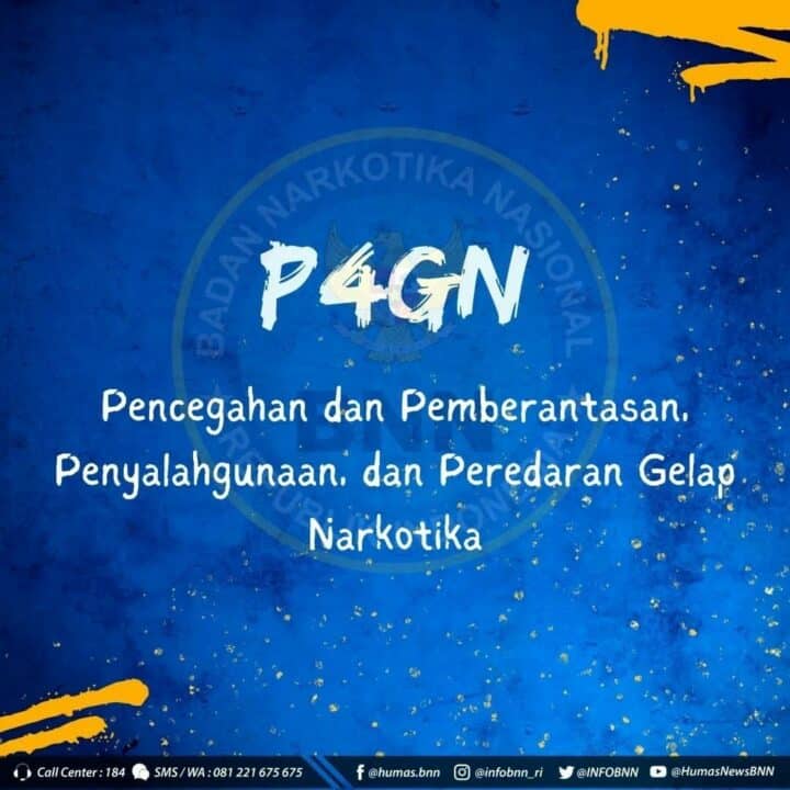 Apa itu P4GN ?