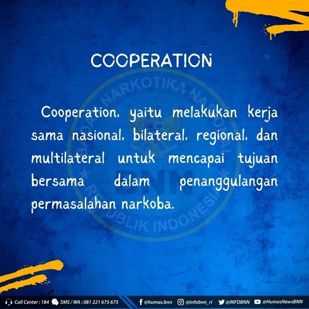 Apa itu P4GN ?